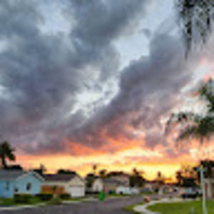 Meet your Posher, Dale